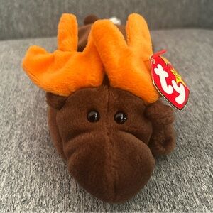 💸“Chocolate” the Moose Ty Beanie Baby Mint condition💸